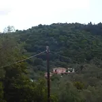 Ellis Pensión 4*