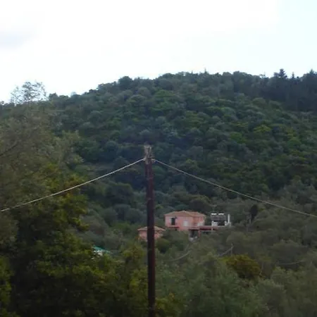 Ellis Guest house *